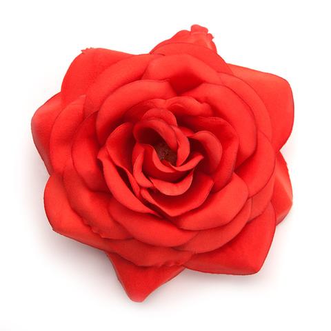 Big rose