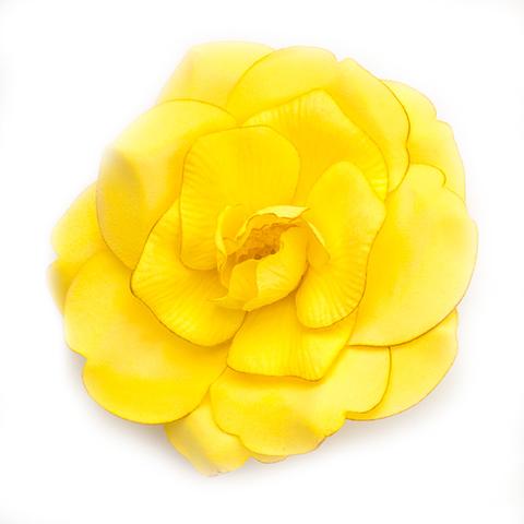 Wild rose