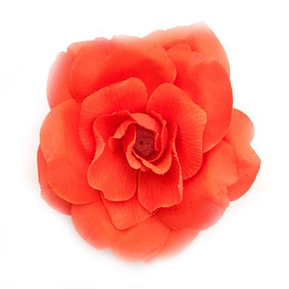 Wild rose