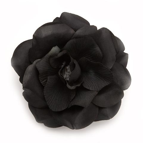 Wild rose