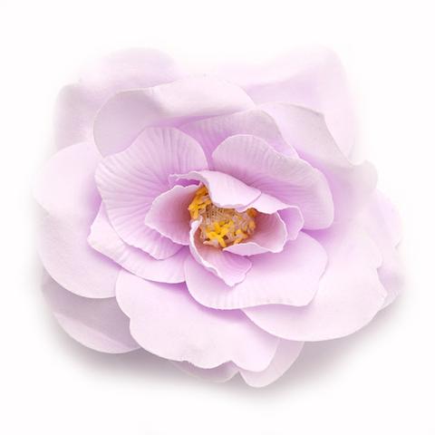 Wild rose
