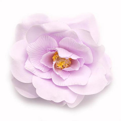Wild rose