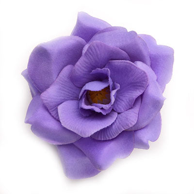 Wild rose