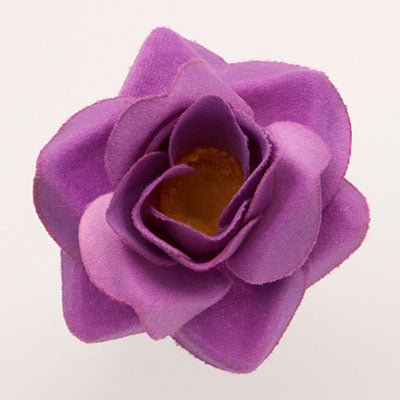 Mini rose