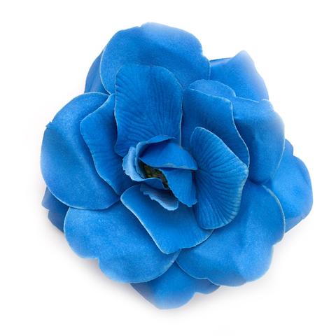Wild rose