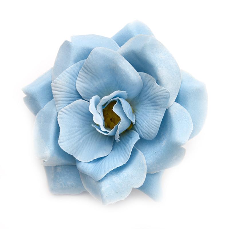 Wild rose