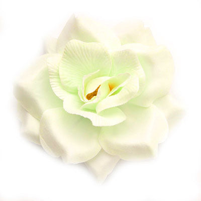 Wild rose