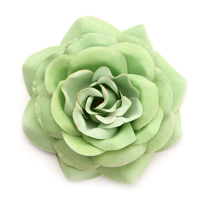 Big rose