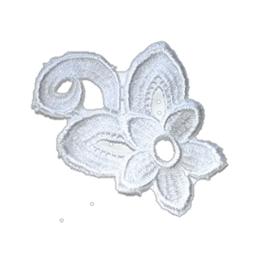 Jonquil - Lille