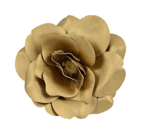 Wild rose